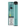 Salt Disposable Vape Kit 600 Puffs