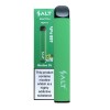 Salt Disposable Vape Kit 600 Puffs