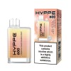 HYPPE 600 Disposable Vape(10pcs/pack)