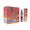 R and M Vase Disposable Vape Kit 600 Puffs (10pcs/pack)